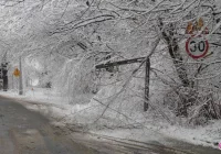 Uwaga, będzie padał śnieg - zdjęcie główne