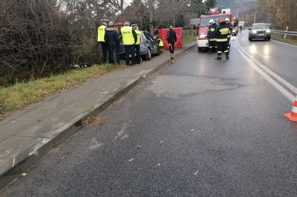 Tragiczny wypadek na drodze wojewódzkiej - zdjęcie 3