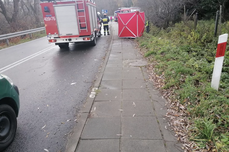 Tragiczny wypadek na drodze wojewódzkiej - zdjęcie 4