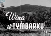 „Wino owocowe wypiera wódkę!” Archiwalny materiał o tymbarskiej spółdzielni z 1949 roku - zdjęcie główne
