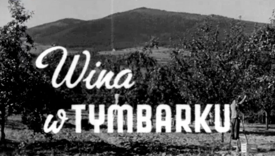 „Wino owocowe wypiera wódkę!” Archiwalny materiał o tymbarskiej spółdzielni z 1949 roku - zdjęcie 1