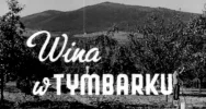 „Wino owocowe wypiera wódkę!” Archiwalny materiał o tymbarskiej spółdzielni z 1949 roku - zdjęcie 2