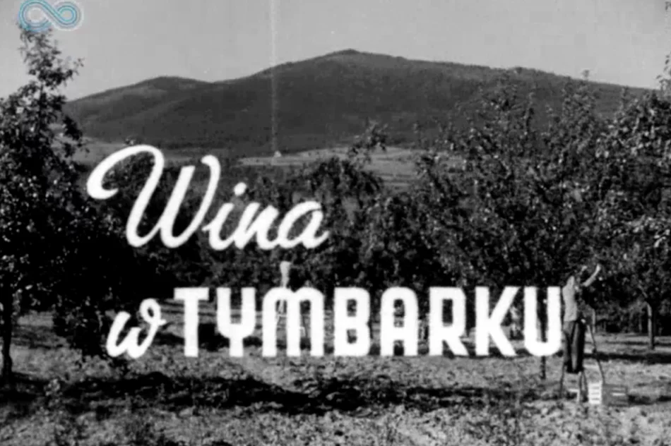„Wino owocowe wypiera wódkę!” Archiwalny materiał o tymbarskiej spółdzielni z 1949 roku - zdjęcie 2