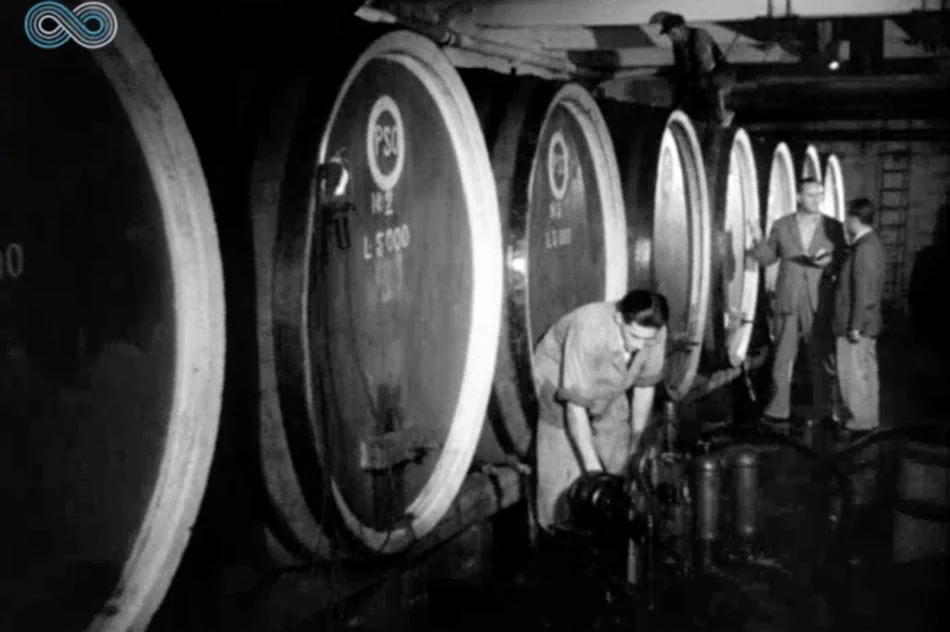 „Wino owocowe wypiera wódkę!” Archiwalny materiał o tymbarskiej spółdzielni z 1949 roku - zdjęcie 10