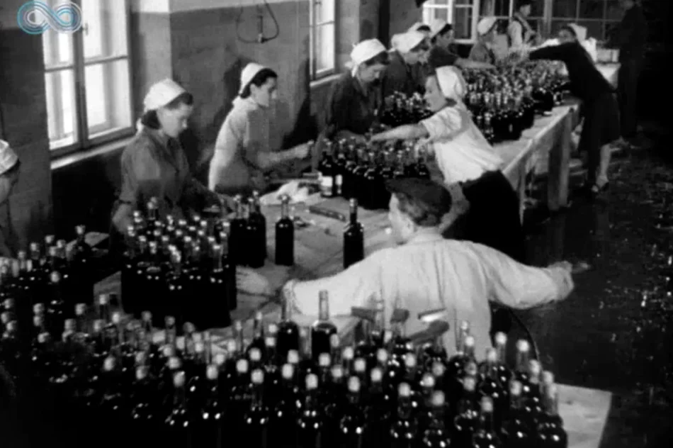 „Wino owocowe wypiera wódkę!” Archiwalny materiał o tymbarskiej spółdzielni z 1949 roku - zdjęcie 12