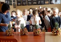 „Owocowy raj” w bibliotece dla 48 dzieci - zdjęcie główne