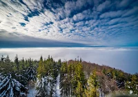 IMiGW ostrzega: gęsta mgła - zdjęcie główne