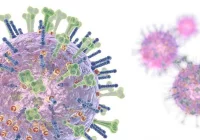 W dwa tygodnie ponad 204 tys. przypadków zachorowań i podejrzeń grypy - zdjęcie główne
