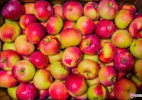 Pełne chłodnie, puste konta - zdjęcie główne