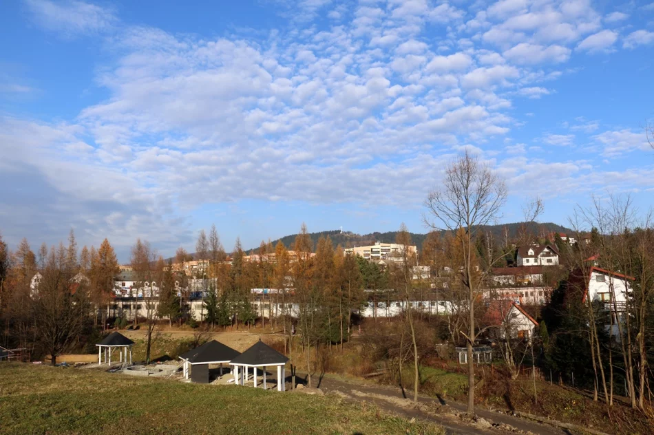 INWESTYCJE CHODZĄ PARAMI, A NAWET TRÓJKAMI - zdjęcie 2