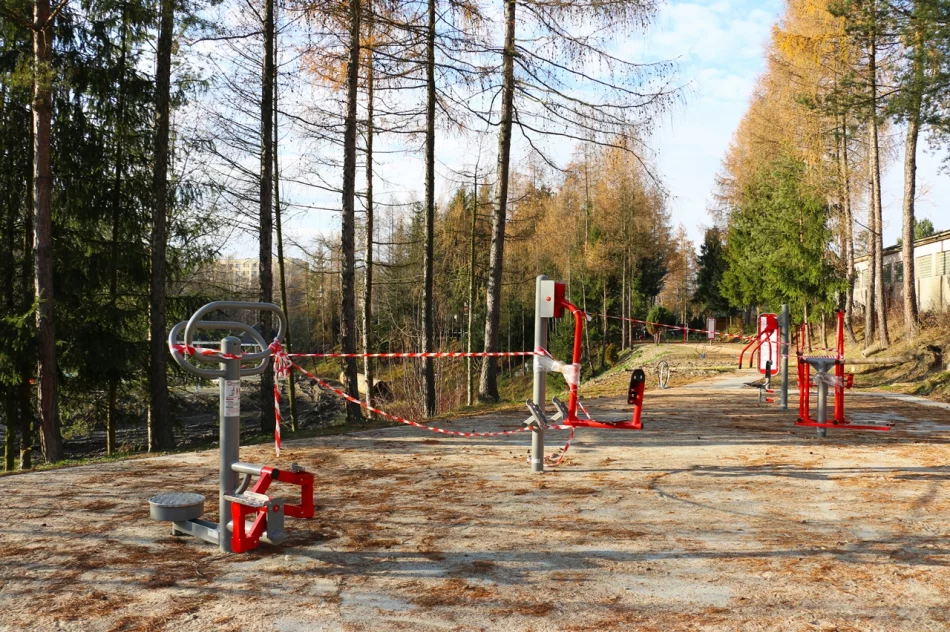 INWESTYCJE CHODZĄ PARAMI, A NAWET TRÓJKAMI - zdjęcie 11