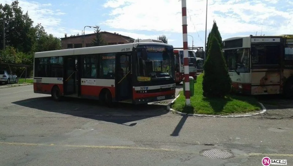 Chełmiec: tu uczniowie jeżdżą do szkoły naprawdę za darmo - zdjęcie 1