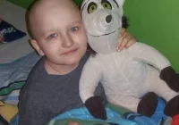 W teatrze życia. Jeden dzień Marcinka i „Jeden dzień” aktorów z Dabar - zdjęcie główne