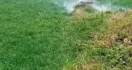Szukają nielegalnych podłączeń do kanalizacji - zdjęcie 2