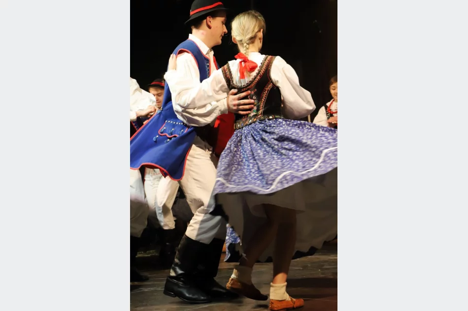 Gminni artyści zaprezentowali się na LIMANOWSKIEJ SŁAZIE - zdjęcie 11