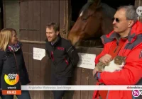 Aktor ma 'kryjówkę' na Limanowszczyźnie - zdjęcie główne