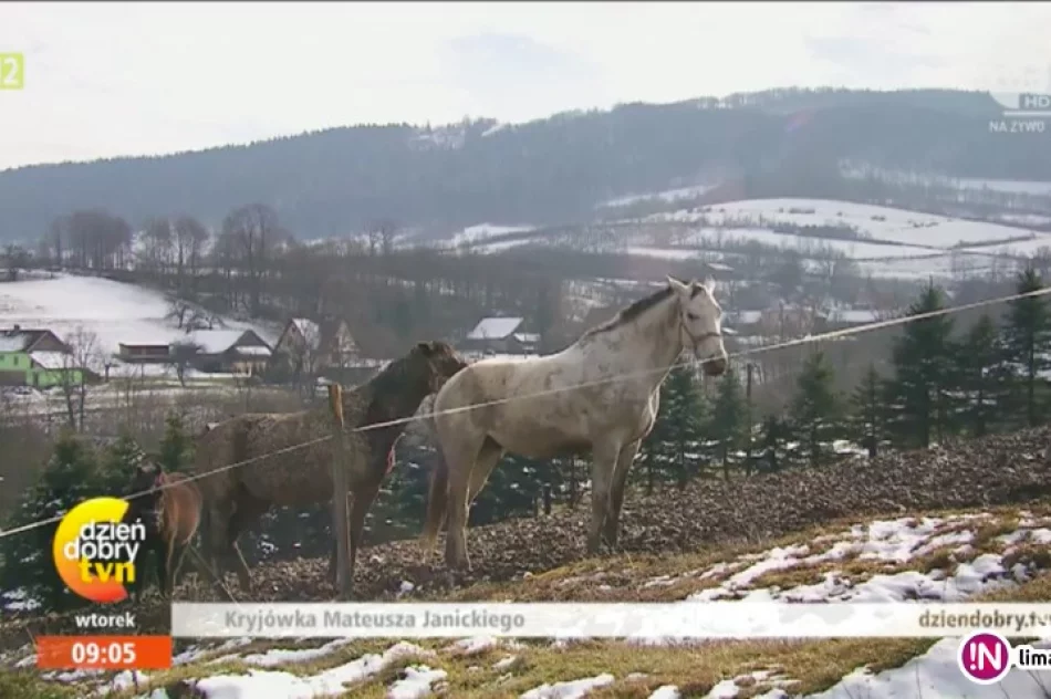 Aktor ma 'kryjówkę' na Limanowszczyźnie - zdjęcie 2