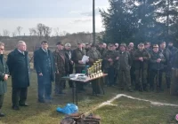 Zabili 24 lisy, bo zagryzały kury i kaczki - zdjęcie główne