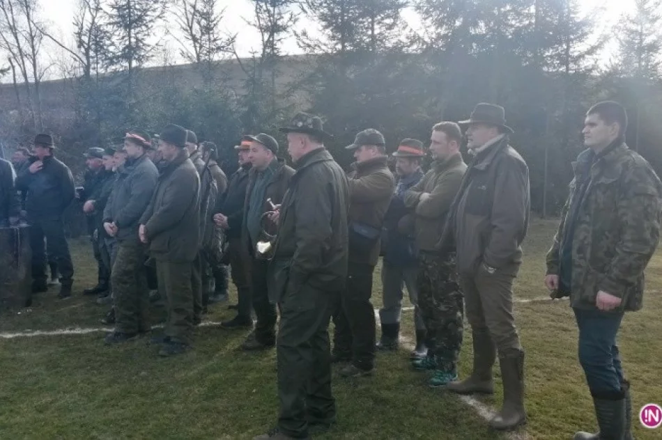 Zabili 24 lisy, bo zagryzały kury i kaczki - zdjęcie 3