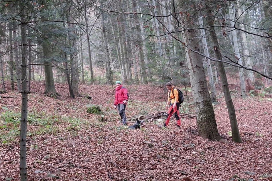 Ćwiczenia poszukiwawczo – ratownicze z udziałem służb współdziałających z PSP - zdjęcie 7