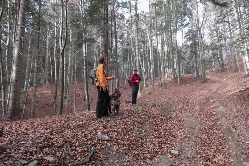 Ćwiczenia poszukiwawczo – ratownicze z udziałem służb współdziałających z PSP - zdjęcie 8