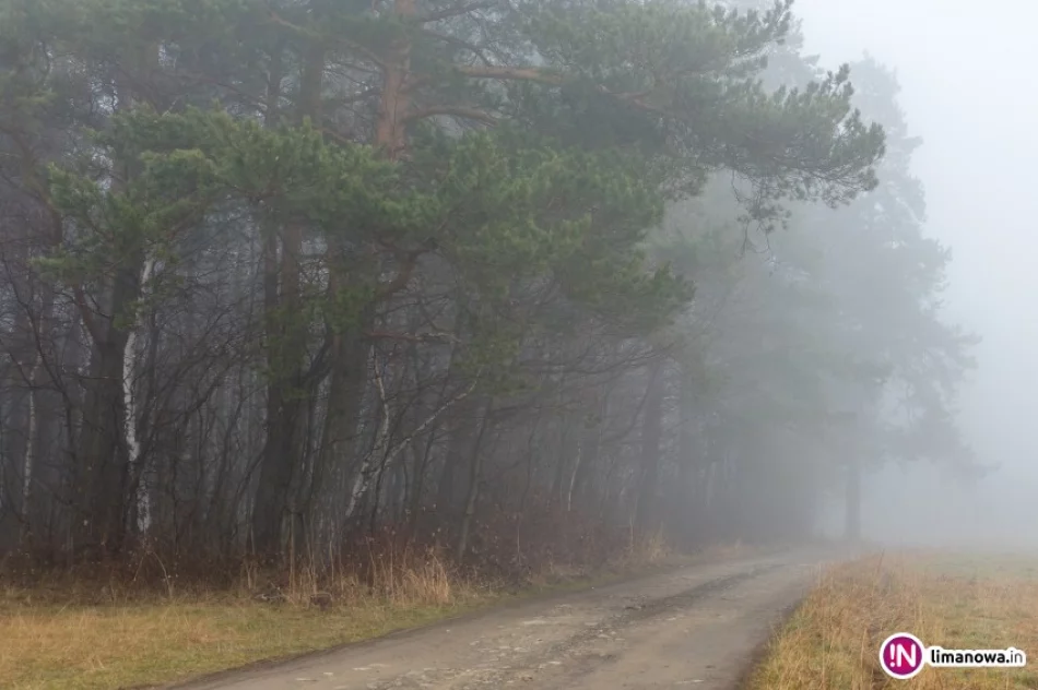 Ostrzeżenie o intensywnych opadach deszczu, może też spaść nawet 20 cm śniegu - zdjęcie 2