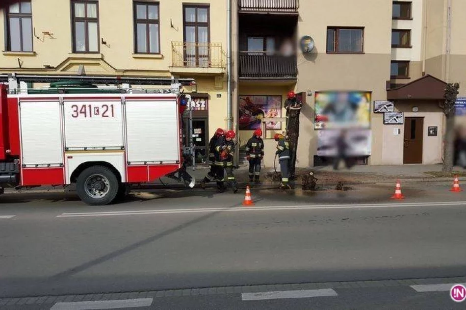 Nowy Sącz: na Lwowskiej paliło się drzewo - zdjęcie 2