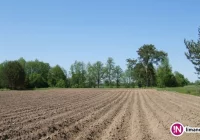 Zmiany w obrocie ziemiami rolnymi - nabywcami tylko rolnicy. Zastrzeżenia RPO - zdjęcie główne