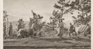 105 lat od wielkiej bitwy - zdjęcie 2