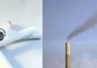 'Kotlina Sądecka w zdrowej atmosferze'? - zdjęcie główne