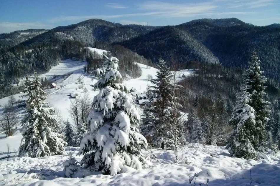 „Partyzancki Przysłop” już za nami - zdjęcie 2