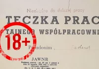 List do Redakcji z Arizony: z daleka widać trochę inaczej… - zdjęcie główne