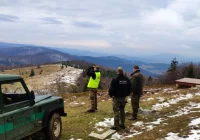W kompleksach leśnych będzie więcej patroli - zdjęcie główne