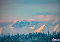 Uwaga kierowcy - mokre nawierzchnie mogą zamarznąć - zdjęcie główne
