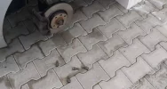 Z zaparkowanego samochodu skradli... przednie koła - zdjęcie 2