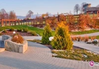 Spacery w koronach drzew? Zaczynają być modne! - zdjęcie główne