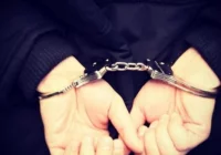 Policjanci odzyskali telefon o wartości 700 złotych - zdjęcie główne