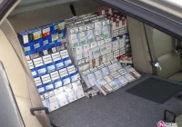 Kolejna kontrabanda ujawniona przez funkcjonariuszy Straży Granicznej - zdjęcie główne