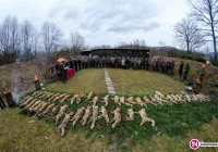 Pierwsze powiatowe polowanie na drapieżniki. Myśliwi pozyskali 48 lisów - zdjęcie główne