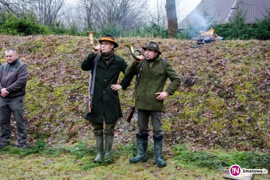 Pierwsze powiatowe polowanie na drapieżniki. Myśliwi pozyskali 48 lisów - zdjęcie 3