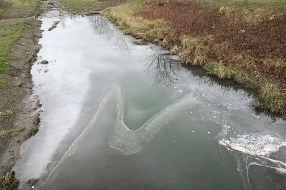 Potok w centrum jak „ściek” - zdjęcie 2