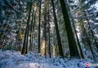 IMiGW wydał ostrzeżenie pierwszego stopnia - zdjęcie główne