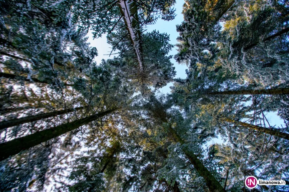 IMiGW wydał ostrzeżenie pierwszego stopnia - zdjęcie 3