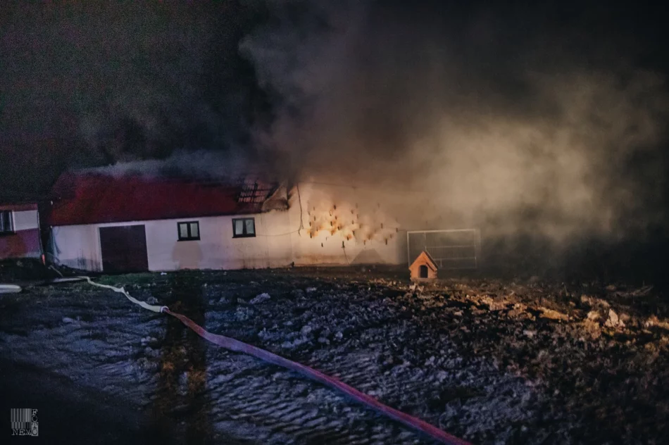 250 tys. zł strat po nocnym pożarze zabudowań gospodarczych. Z ogniem walczyło 60 strażaków - zdjęcie 2