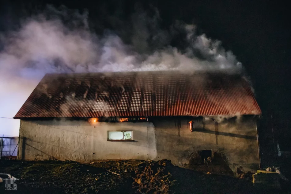 250 tys. zł strat po nocnym pożarze zabudowań gospodarczych. Z ogniem walczyło 60 strażaków - zdjęcie 11