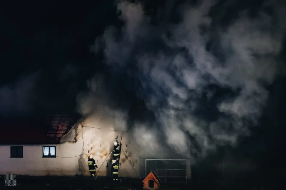 250 tys. zł strat po nocnym pożarze zabudowań gospodarczych. Z ogniem walczyło 60 strażaków - zdjęcie 13