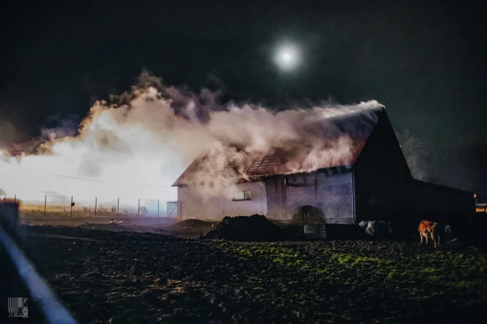250 tys. zł strat po nocnym pożarze zabudowań gospodarczych. Z ogniem walczyło 60 strażaków - zdjęcie 14