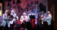 Koncert Noworoczny: New Market Jazz Band 1 stycznia w Muzycznym Folwarku w Mszanie Dolnej - zdjęcie 3