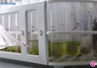 280 tys. zł kary dla właścicieli sklepów z dopalaczami - zdjęcie główne