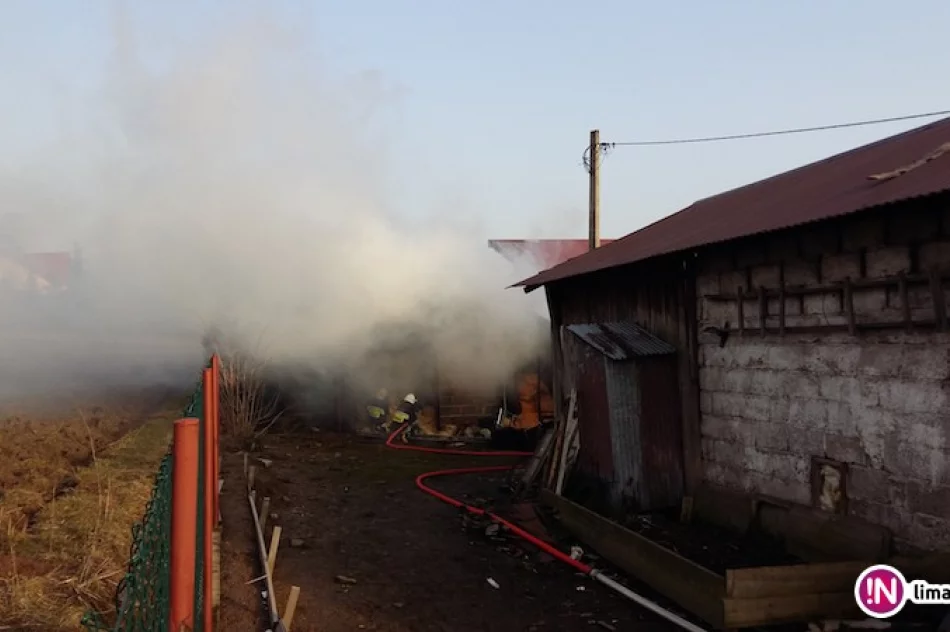 Spłonęła stolarnia - 250 tys. zł strat - zdjęcie 2